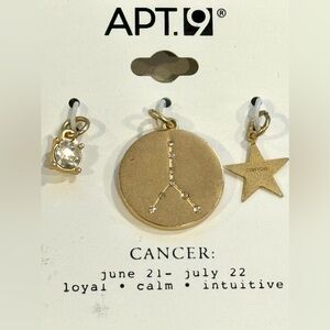 APT.9  3Pc ZODIAC Dangle Charms CANCER